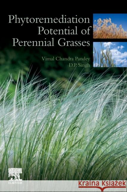 Phytoremediation Potential of Perennial Grasses Vimal Chandra Pandey Devendra Prata 9780128177327 Elsevier - książka