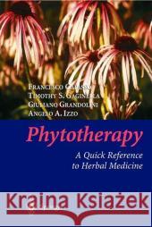 Phytotherapy: A Quick Reference to Herbal Medicine Capasso, Francesco 9783540000525 Springer - książka