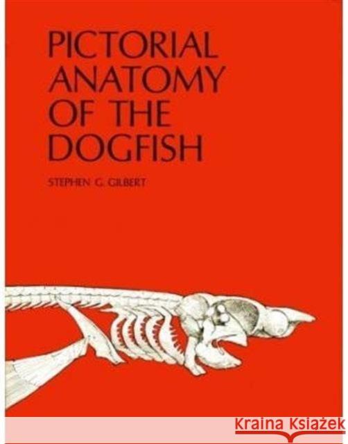 Pictorial Anatomy of the Dogfish Stephen G. Gilbert 9780295951485 University of Washington Press - książka