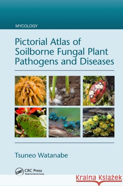 Pictorial Atlas of Soilborne Fungal Plant Pathogens and Diseases Tsuneo Watanabe 9781032095783 CRC Press - książka