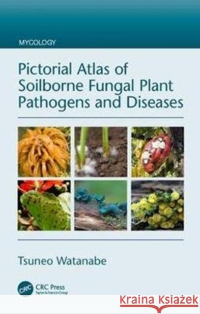 Pictorial Atlas of Soilborne Fungal Plant Pathogens and Diseases Watanabe, Tsuneo (Institute for Biological Resources and Functions, National Institute of Advanced Industrial Science an 9781138294592 Mycology - książka