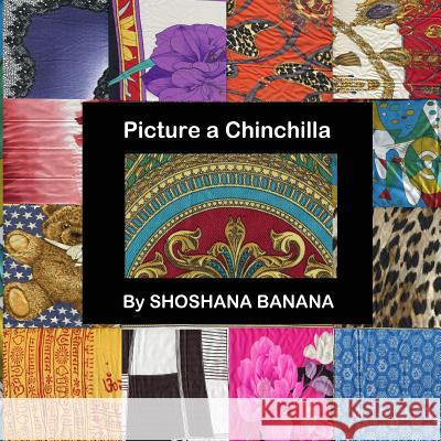 Picture a Chinchilla Shoshana Banana 9780982792858 Picture It in My Head Books - książka