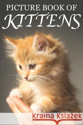 Picture Book of Kittens: Picture Book of Kittens: For Seniors with Dementia [Cute Picture Books] Mighty Oak Books 9781689215053 Independently Published - książka