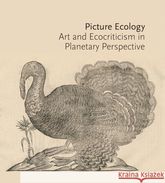 Picture Ecology: Art and Ecocriticism in Planetary Perspective Karl Kusserow Alan C. Braddock Maura Coughlin 9780691236018 Princeton University Art Museum - książka