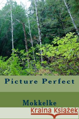 Picture Perfect Mokkelke 9781517032654 Createspace Independent Publishing Platform - książka