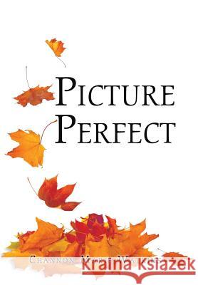 Picture Perfect Channon Marie Watkins 9781543445701 Xlibris - książka