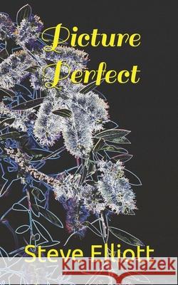 Picture Perfect Elliott Steve Elliott 9798464540927 Independently published - książka