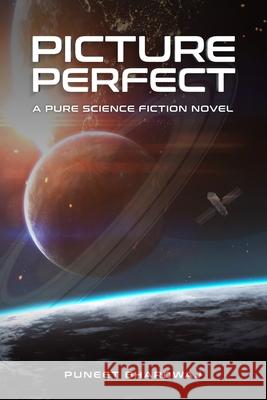 Picture Perfect Puneet Bhardwaj 9798621522766 Independently Published - książka