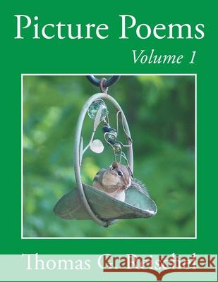 Picture Poems Volume 1 Thomas Reischel 9781955070751 Word Art Publishing - książka