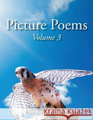 Picture Poems Volume 3 Thomas Reischel 9781955070621 Word Art Publishing - książka