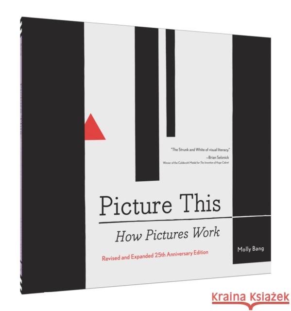 Picture This: How Pictures Work  9781452151991 Chronicle Books - książka