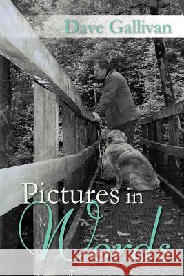 Pictures in Words Dave Gallivan 9781469177731 Xlibris Corporation - książka