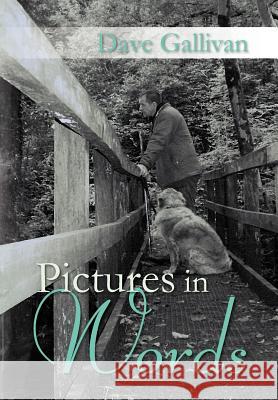 Pictures in Words Dave Gallivan 9781469177748 Xlibris Corporation - książka