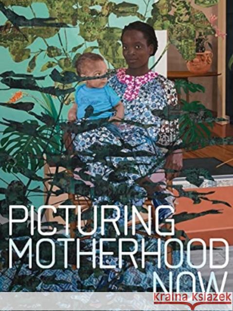 Picturing Motherhood Now Emily Liebert Nadiah River Rosalyn Deutsche 9780300260069 Cleveland Museum of Art - książka