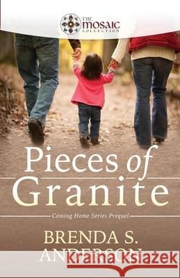 Pieces of Granite The Mosaic Collection Brenda S. Anderson 9781951664046 Vivant Press - książka