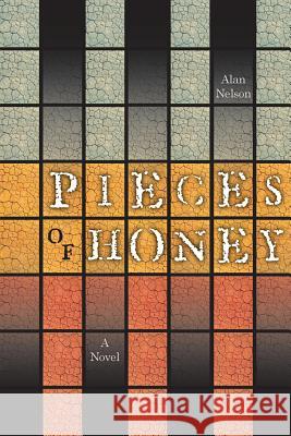 Pieces of Honey Alan Nelson 9781941713150 Andrew Benzie Books - książka