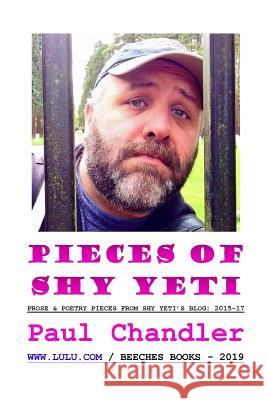 Pieces of Shy Yeti Paul Chandler 9780244169893 Lulu.com - książka