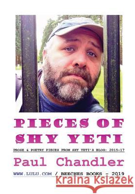 Pieces of Shy Yeti Paul Chandler 9780244469894 Lulu.com - książka