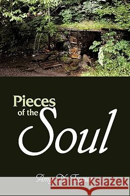 Pieces of the Soul Amy N. Turner 9781438989525 Authorhouse - książka