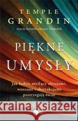 Piękne umysły. Jak ludzie myślący obrazami... GRANDIN TEMPLE 9788378866978 COPERNICUS - książka