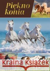 Piękno konia praca zbiorowa 9788379326167 Fenix - książka