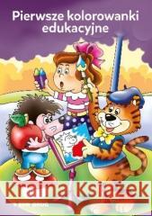 Pierwsze kolorowanki edukacyjne Tamara Michałowska 9788366116252 Siedmioróg - książka