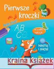 Pierwsze kroczki. Będę pisać! Sandrine Lamour 9788383159652 Olesiejuk Sp. z o.o. - książka