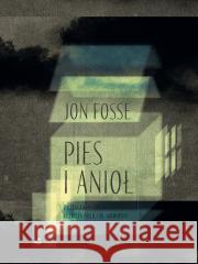 Pies i anioł Jan Fosse 9788367706469 Biuro Literackie - książka