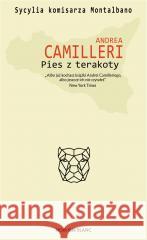 Pies z terakoty Andrea Camilleri, Jarosław Mikołajewski 9788373927780 Noir sur Blanc - książka