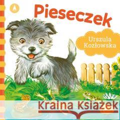 Pieseczek Urszula Kozłowska 9788382072440 Skrzat - książka