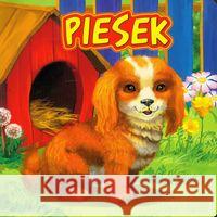 Piesek JAFI Campbell Katarzyna 9788363502034 Jafi - książka