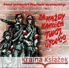 Pieśni podziemia i Powstania... vol. 1 CD  5906409101582 MTJ - książka