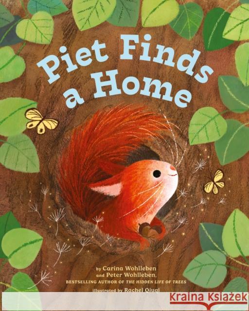 Piet Finds A Home Carina Wohlleben 9781778400292 Greystone Kids - książka