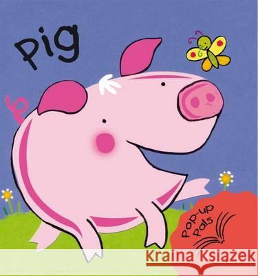 Pig Fiona Hayes 9781906842185 3C Publishing Ltd - książka
