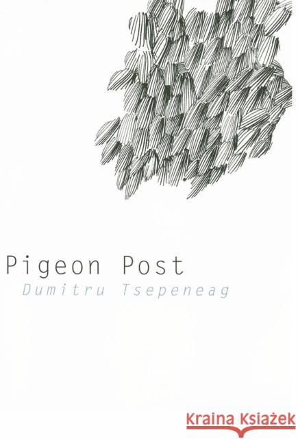 Pigeon Post Dumitru Tepeneag Dumitru Tsepeneag Jane Kuntz 9781564785169 Dalkey Archive Press - książka