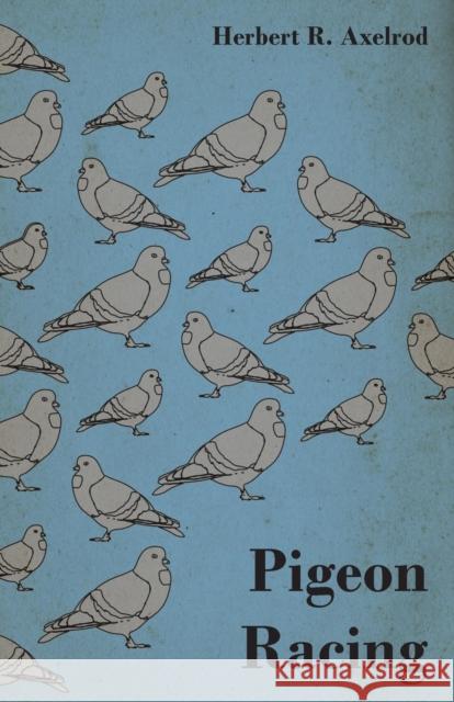 Pigeon Racing Herbert R. Axelrod 9781446543931 Holyoake Press - książka