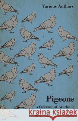 Pigeons - A Collection of Articles on the Origins, Varieties and Methods of Pigeon Keeping Various 9781446535233 Brunton Press - książka
