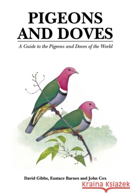 Pigeons and Doves: A Guide to the Pigeons and Doves of the World David Gibbs, Eustace Barnes, John Cox, Eustace Barnes 9781873403600 Bloomsbury Publishing PLC - książka