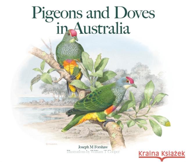 Pigeons and Doves in Australia Joseph M. Forshaw William T. Cooper 9780643096332 CSIRO Publishing - książka