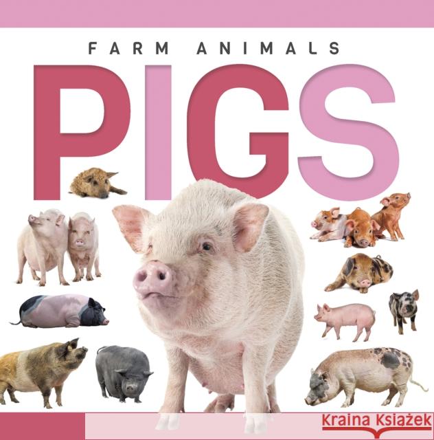 Pigs Sadie Hallworth 9798894710570 North Star Kids - książka