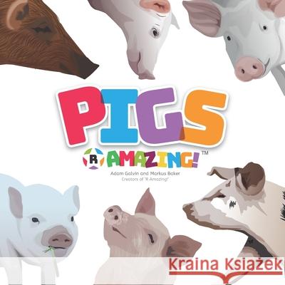 Pigs R Amazing! Adam Galvin Mark Baker Markus Baker 9781916357105 R-And-Q.com - książka