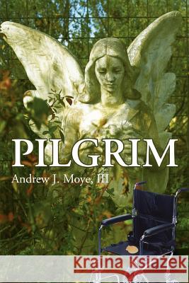 Pilgrim Andrew J. Moy 9780595388844 iUniverse - książka
