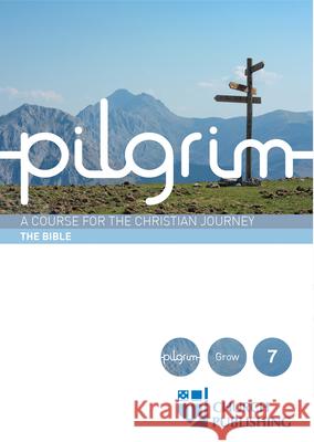 Pilgrim - The Bible: A Course for the Christian Journey Stephen Cottrell Paula Gooder Steven Croft 9780898699548 Church Publishing - książka
