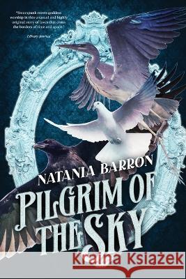 Pilgrim of the Sky Natania Barron 9781645541783 Falstaff Books, LLC - książka