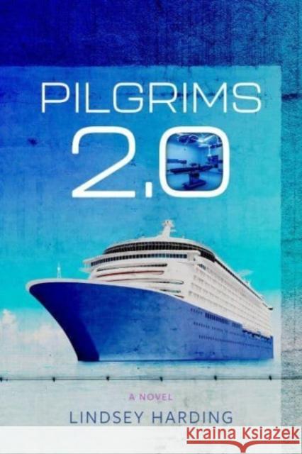 Pilgrims 2.0 - A Novel Lindsey Harding 9781946724694 Acre Books - książka