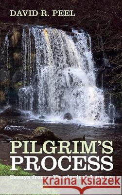 Pilgrim's Process David R. Peel 9781666709179 Resource Publications (CA) - książka