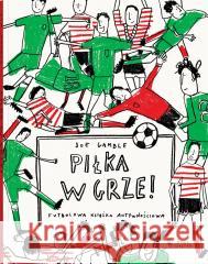 Piłka w grze Joe Gamble 9788381505918 Dwie Siostry - książka