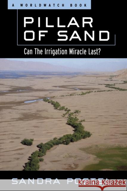 Pillar of Sand: Can the Irrigation Miracle Last? Sandra Postel Sandra Postel 9780393319378 W. W. Norton & Company - książka