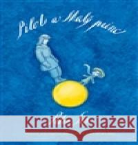 Pilot a Malý princ Petr Sís 9788086803272 Labyrint - książka