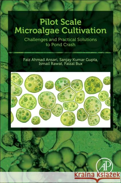 Pilot Scale Microalgae Cultivation: Challenges and Practical Solutions to Pond Crash Faiz Ahmad Ansari Sanjay Kumar Kuma Ismail Rawat 9780323959629 Academic Press - książka